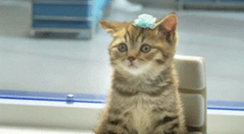 Хилола Юльчиева