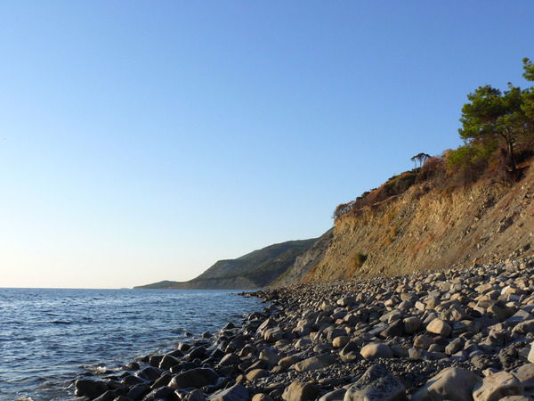 Дмитрий Боюр