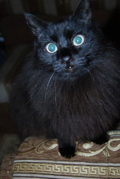 Сергей Храмцов