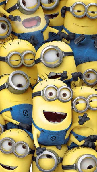 Кот Котовский