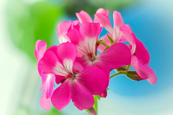 Маргарита Кузнецова