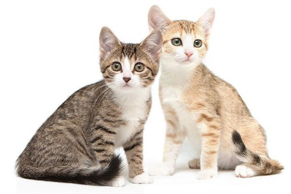 Татьяна Чуйкова