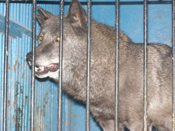 Усманов Руслан