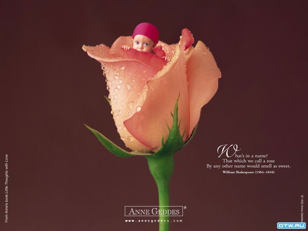 Екатерина Семёнова