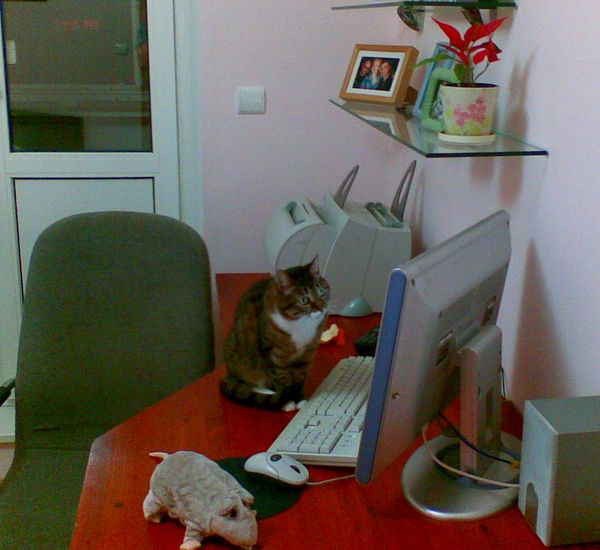 Татьяна Даценко