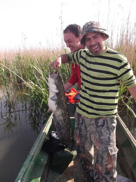 Антон Федотьев