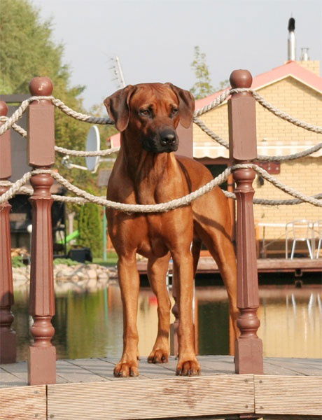 Неизвестно Неизвестно