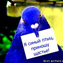 Нелли Ремиш