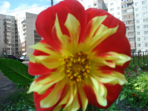 Ольга Бусырева