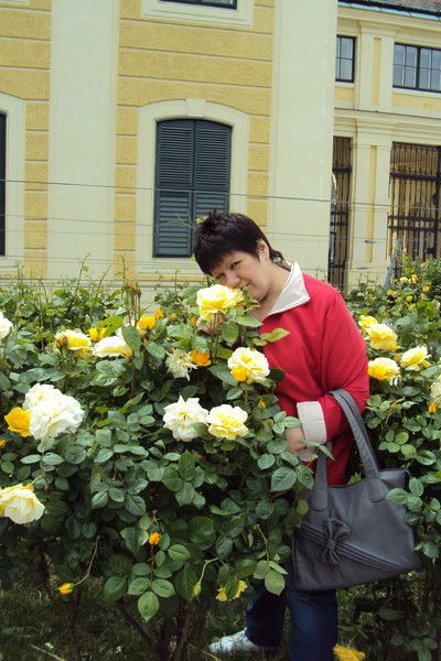 Вера Ильина