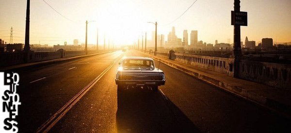 Елена Дубровина