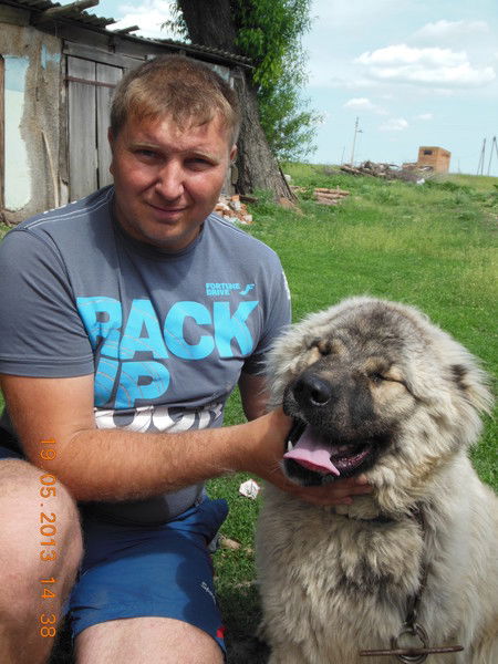 Андрей Волобуев