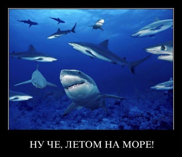 Александр Макаров