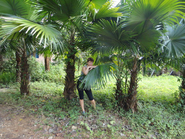 Ольга Степанова