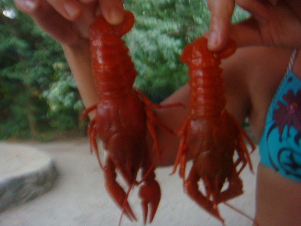 Ирина Гасюк