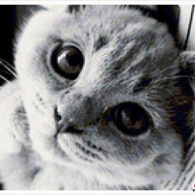 Татьяна Скачек