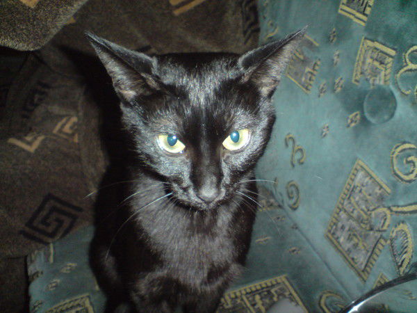 Екатерина Базыкина