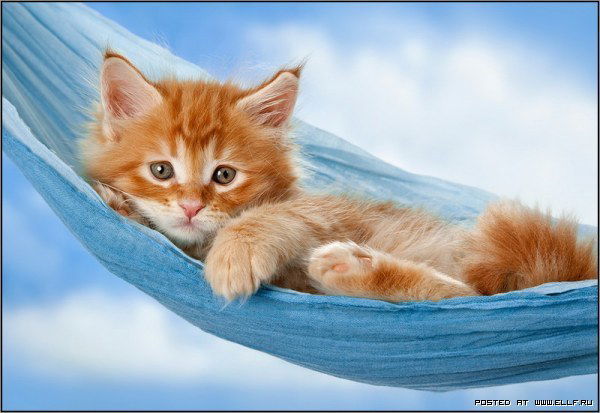 Оленюк Марина