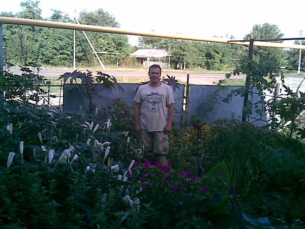 Андрей Нестеров