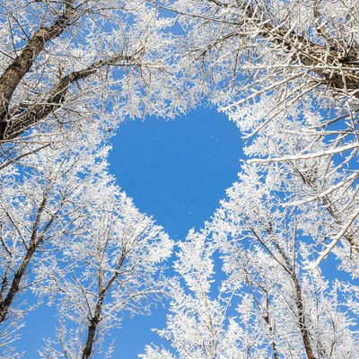 Алина Дондукова