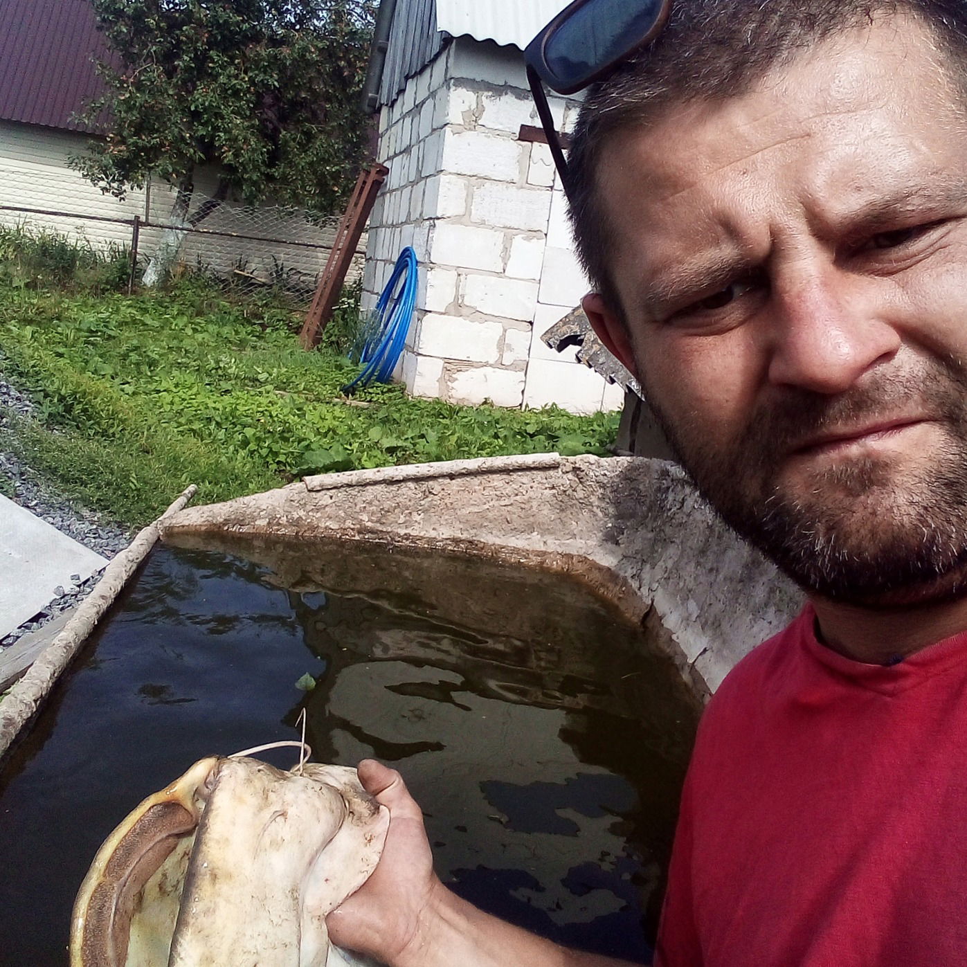 Дима Коржов