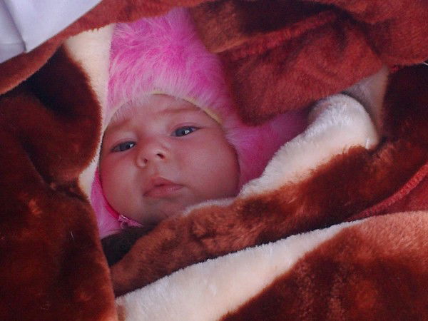 Елена Кириллова