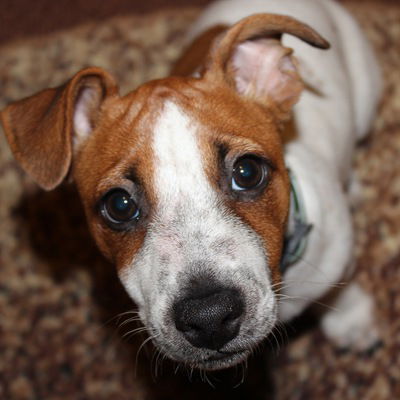 Паша Рюхтин