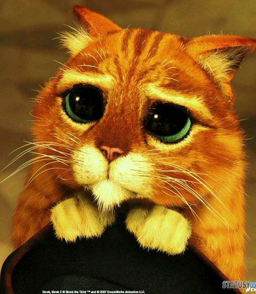 Самат Акматов