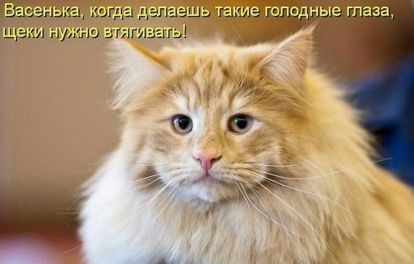 Джангир Абила