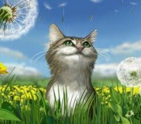 Михаил Дудник