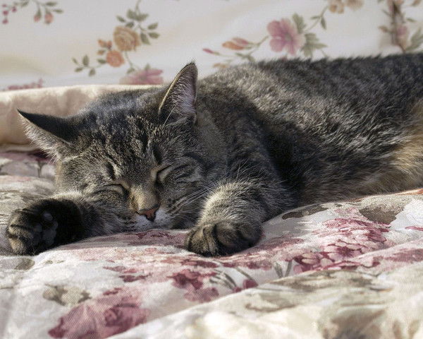 Галина Буталова