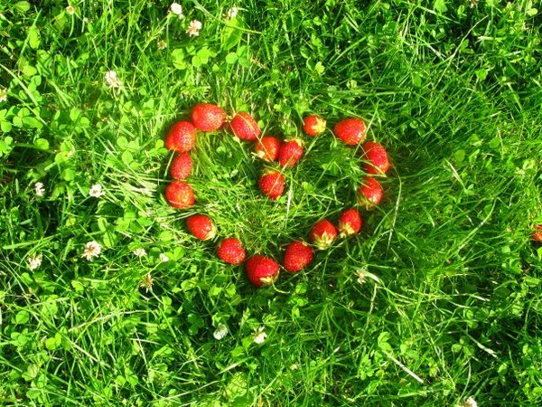 Елена Крюкова