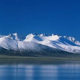 Яна Шильникова