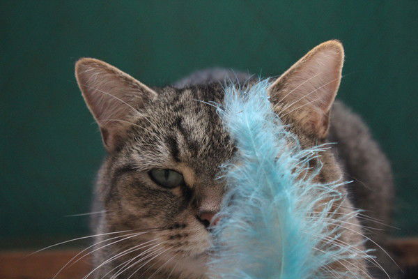 Регина .......