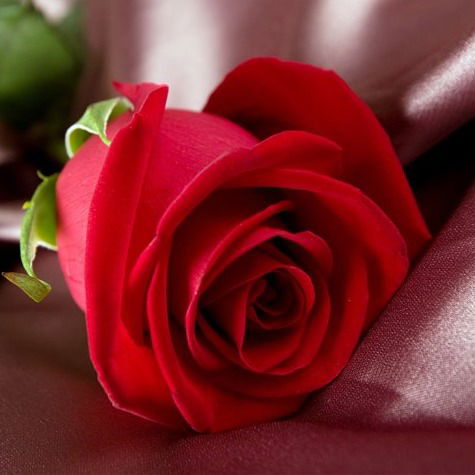 Валентина Неверовская