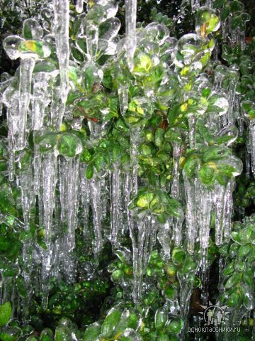 Люция Асылова