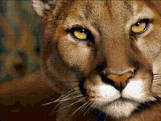 Лариса Нефёдова