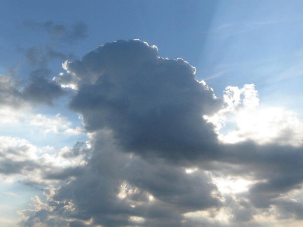 Анна Селиванова