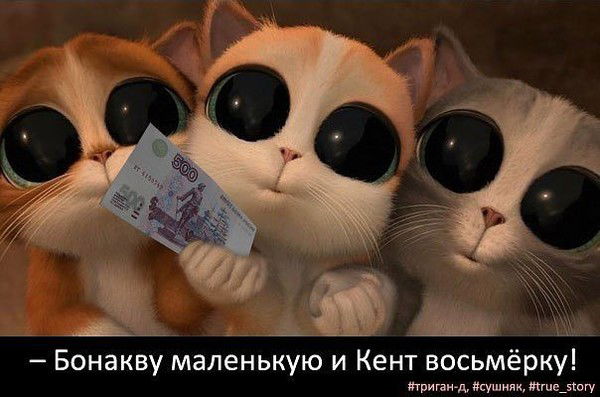 Павел Поднебеснов