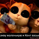 Павел Поднебеснов