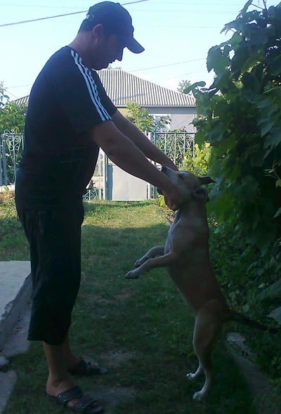 Андрей Табуйка