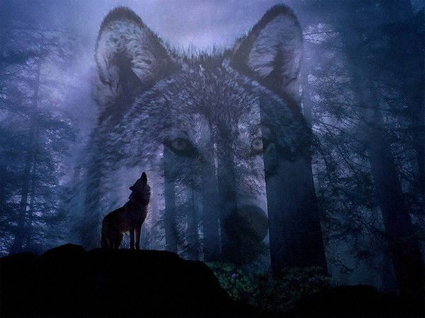 Галым Жанжигитов