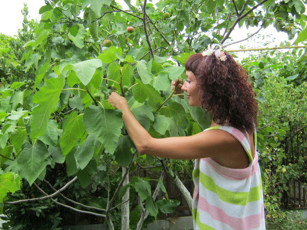 Екатерина Наумова