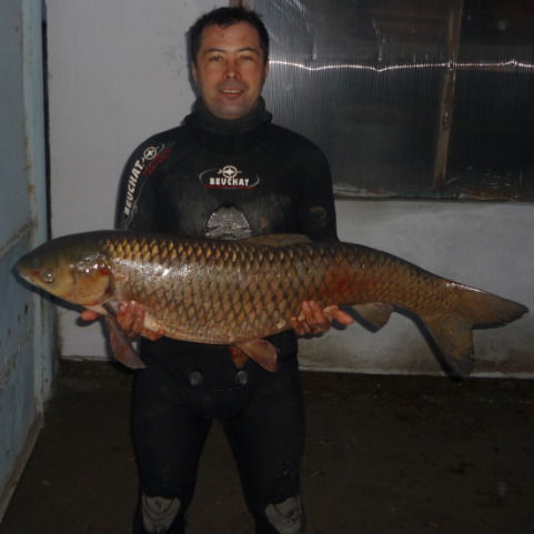 Aleksandr Vinokurtsev