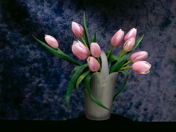 Ляззат Еркебаева