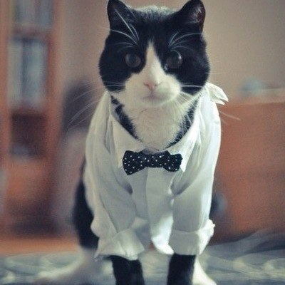 Эдуард Шахбазян