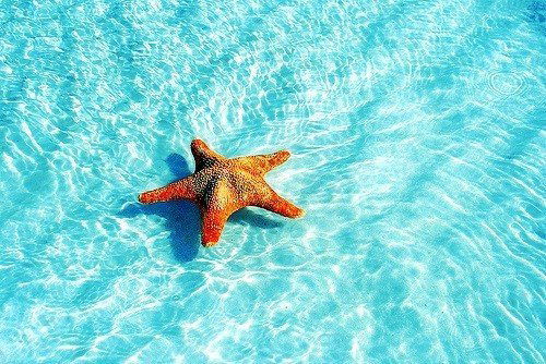 Ольга Власова