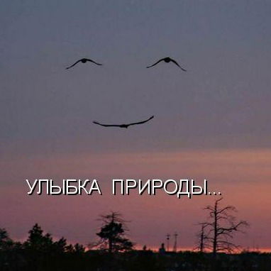 Андрей Кузнецов