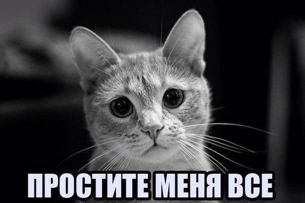 Ольга Коваленко