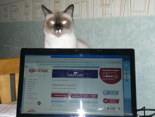 Константин Казаков